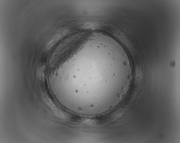 X0000116560585200912311934