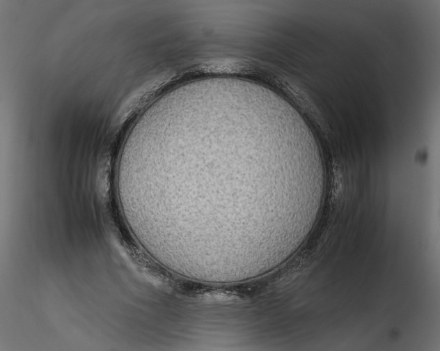 X0000116560586200912311934