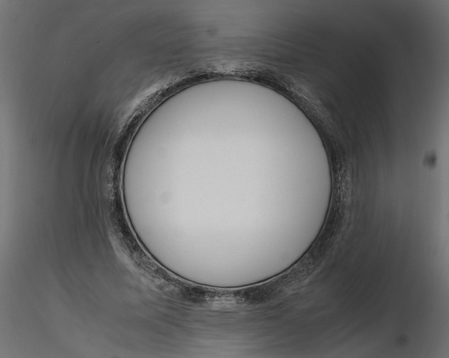 X0000116560587200912311934