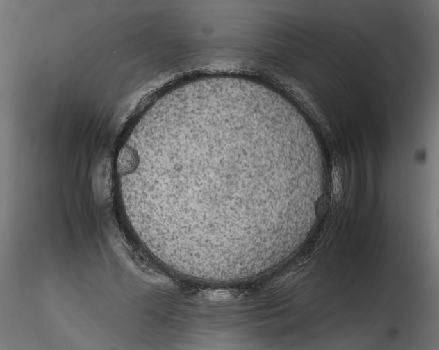 X0000116560588200912311934