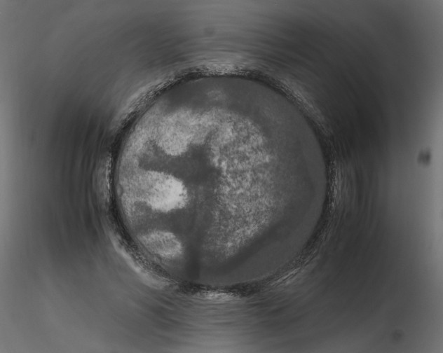 X0000116560590200912311934