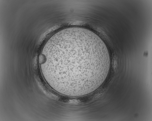 X0000116560591200912311934