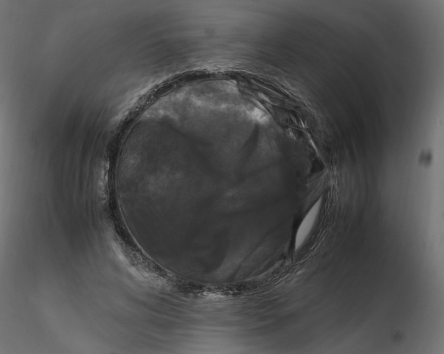 X0000116560592200912311934