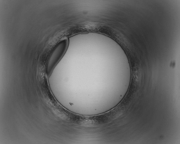 X0000116560593200912311934