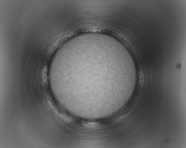 X0000116560594200912311934