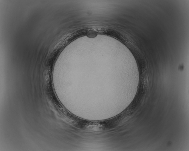 X0000116560595200912311934