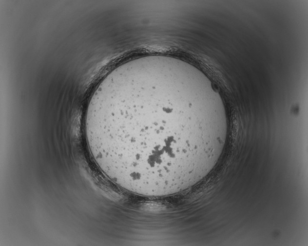 X0000116560596200912311934