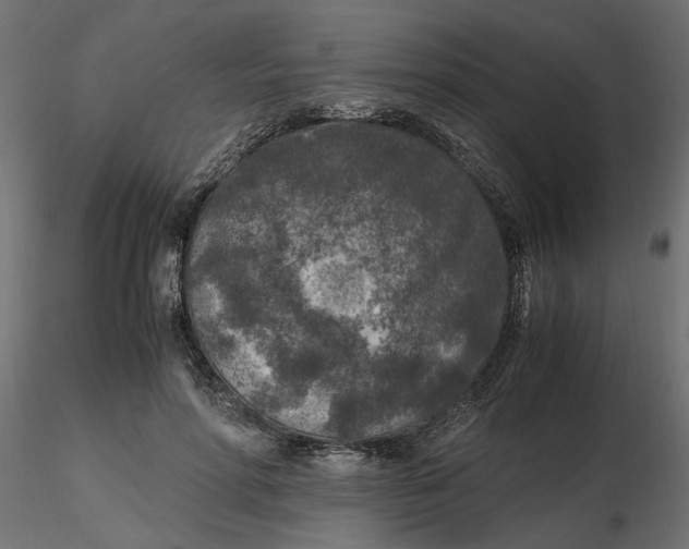 X0000116560598200912311934