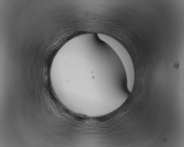 X0000116560599200912311934