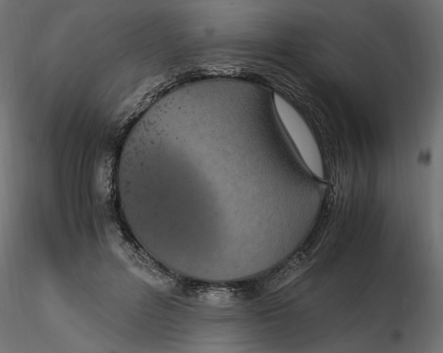 X0000116560600200912311934