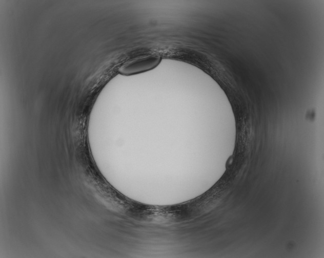 X0000116560601200912311934