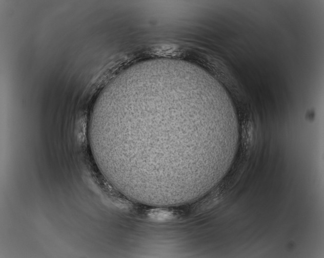 X0000116560602200912311934