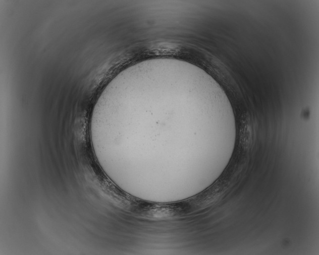 X0000116560604200912311934