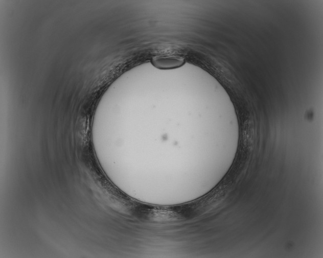 X0000116560605200912311934