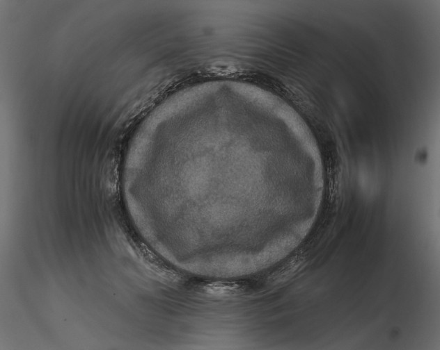 X0000116560606200912311934