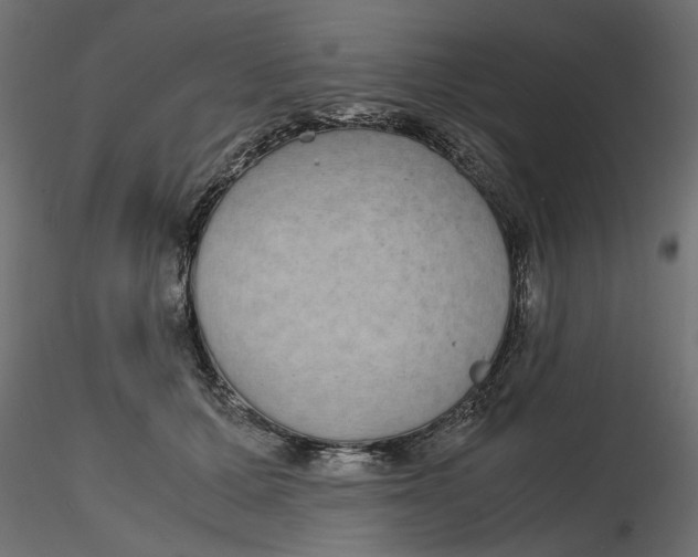 X0000116560607200912311934