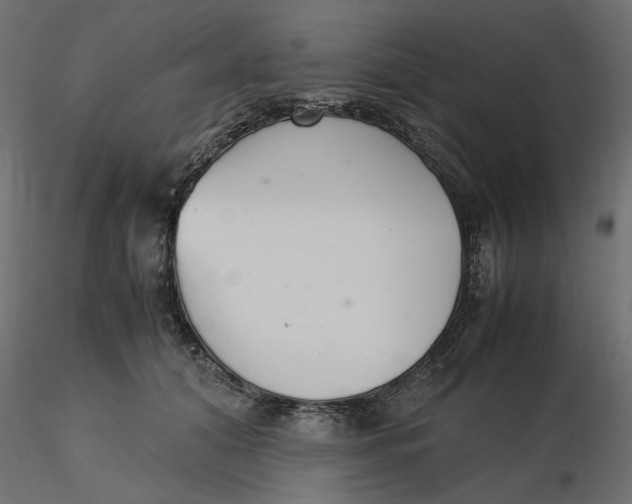 X0000116560608200912311934