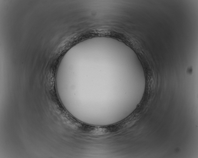 X0000116560609200912311934