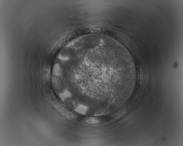 X0000116560610200912311934