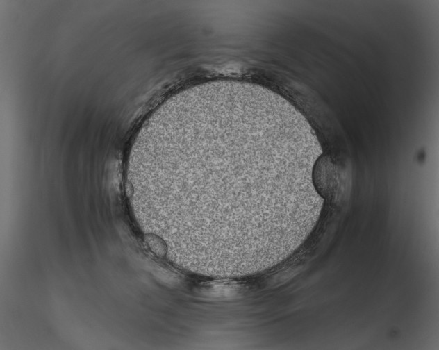 X0000116560612200912311934