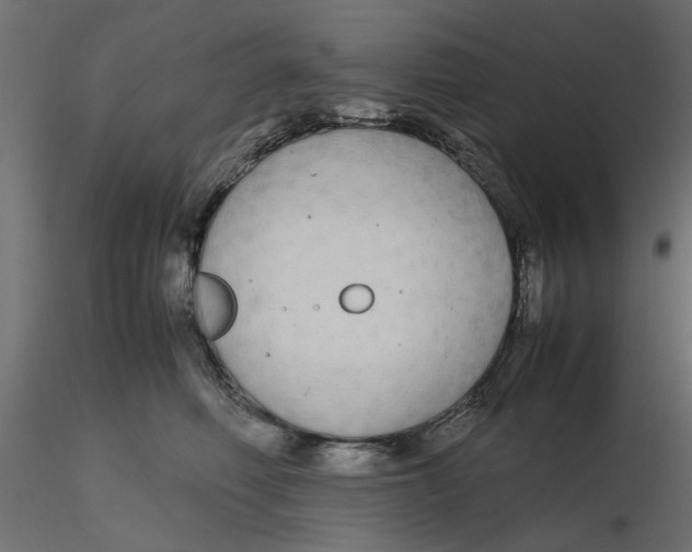 X0000116560614200912311934