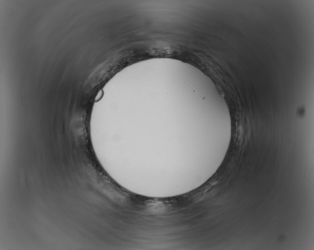 X0000116560616200912311934