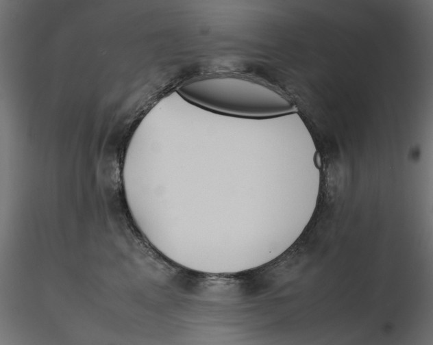 X0000116560617200912311934