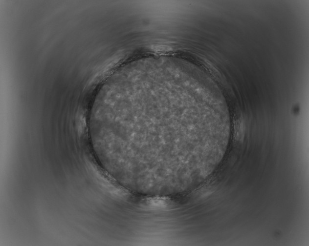 X0000116560618200912311934