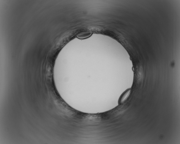 X0000116560619200912311934