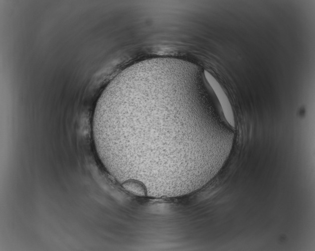 X0000116560620200912311934