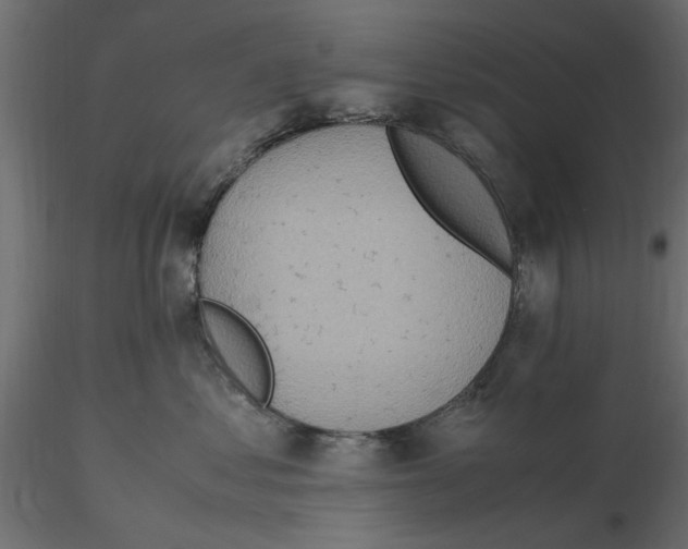 X0000116560621200912311934