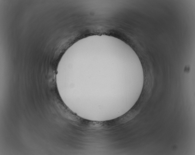 X0000116560624200912311934