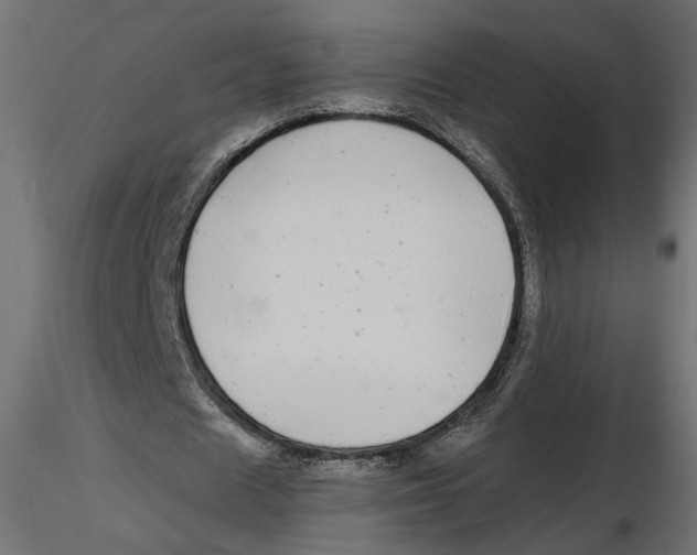 X0000116560625200912311933