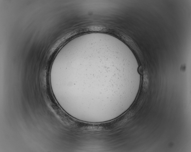 X0000116560626200912311933