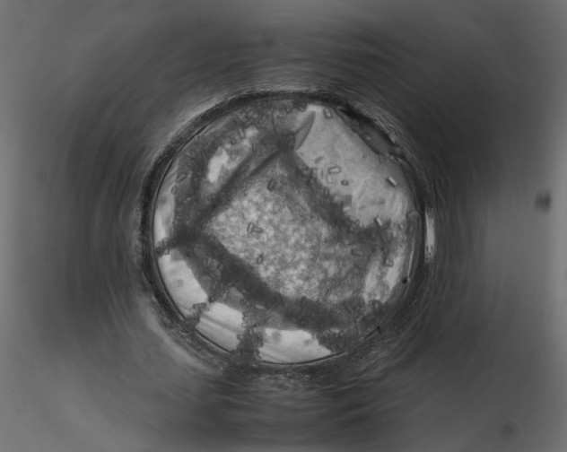 X0000116560627200912311933