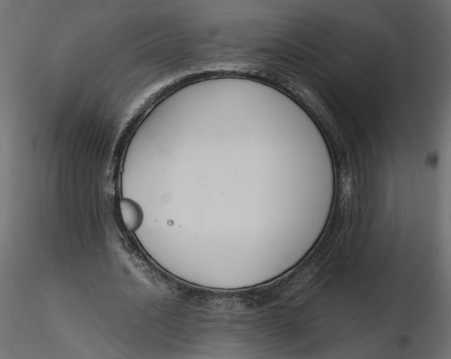 X0000116560628200912311933