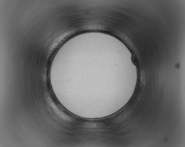 X0000116560629200912311933