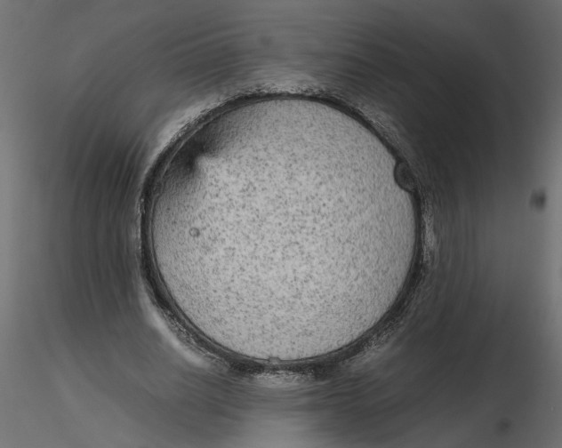 X0000116560630200912311933