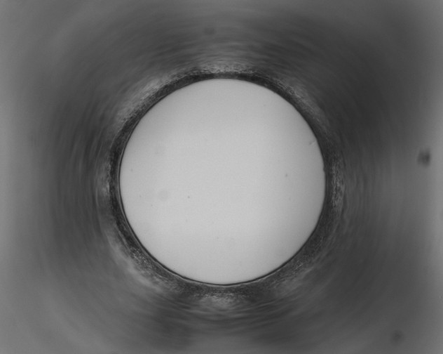 X0000116560631200912311933