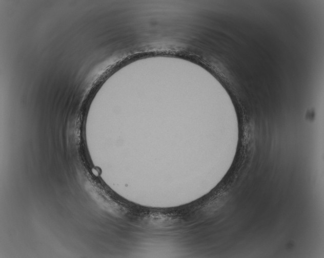 X0000116560632200912311933