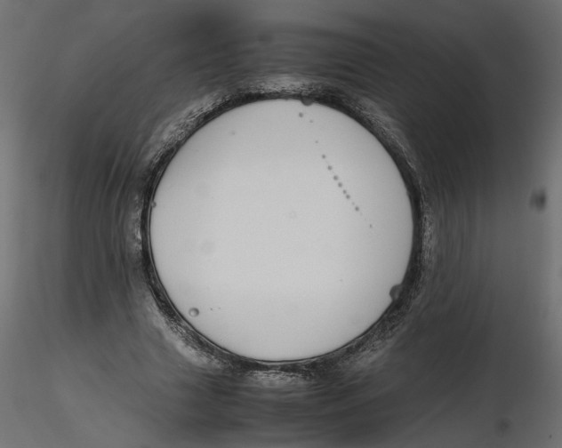 X0000116560633200912311933