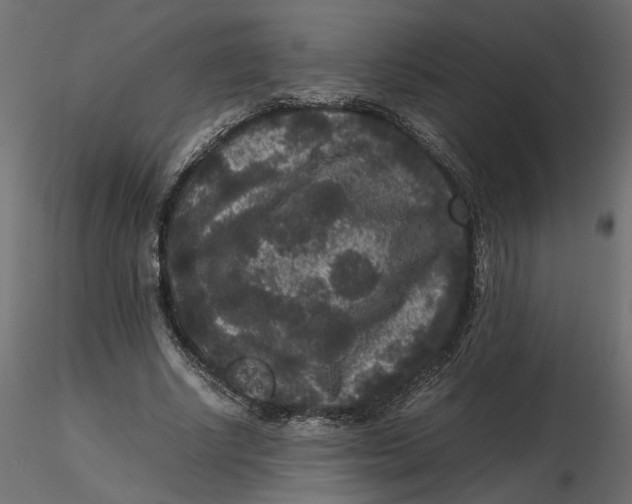 X0000116560634200912311933