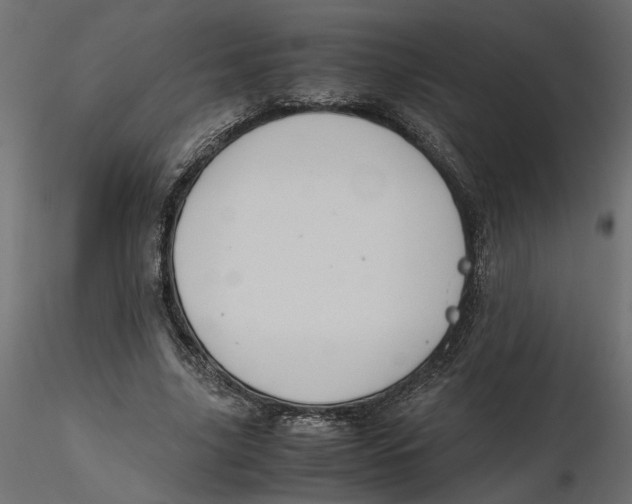 X0000116560635200912311933