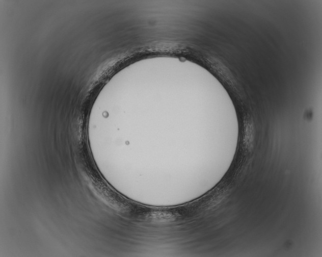 X0000116560636200912311933