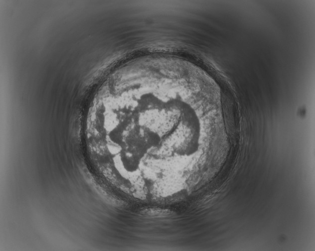 X0000116560637200912311933