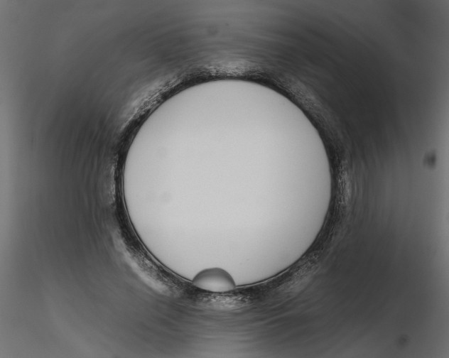 X0000116560638200912311933