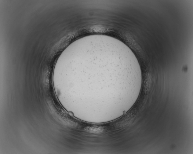 X0000116560639200912311933