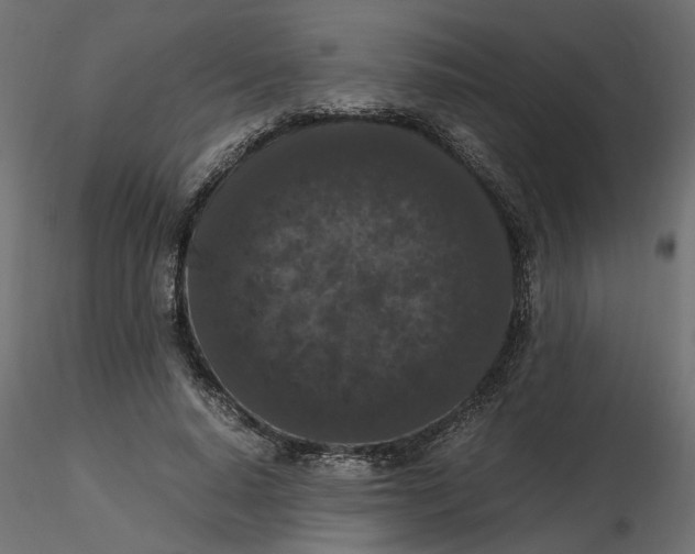 X0000116560640200912311933