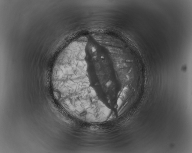 X0000116560641200912311933