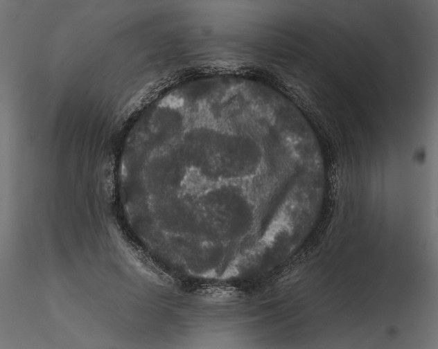 X0000116560642200912311933